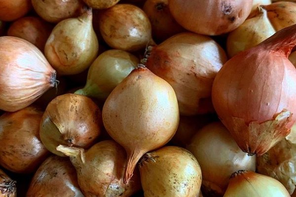 Кракен сайт покупок onion top